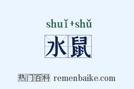 水鼠是什么意思的图片
